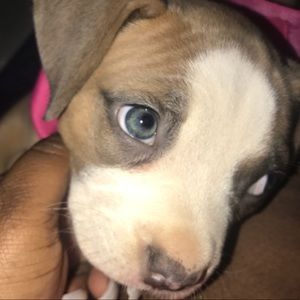 Meet your Posher, Sherry